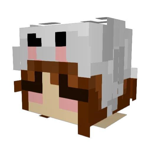Cinoe Minecraft avatar head, 3D render