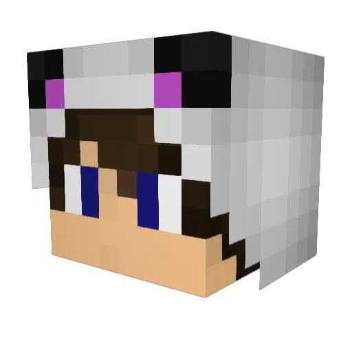 Cinoss Minecraft avatar head, 3D render