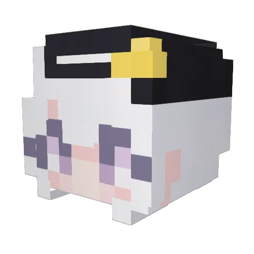 CintagramABP Minecraft avatar head, 3D render