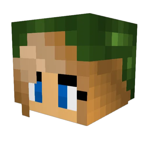 Cinwyne Minecraft avatar head, 3D render