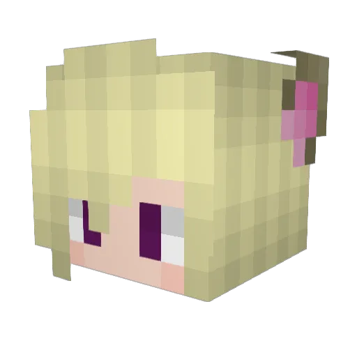 Cioaraobosita Minecraft avatar head, 3D render