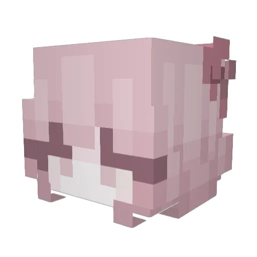 Ciocua Minecraft avatar head, 3D render
