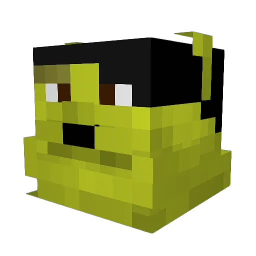 Ciorn8 Minecraft avatar head, 3D render