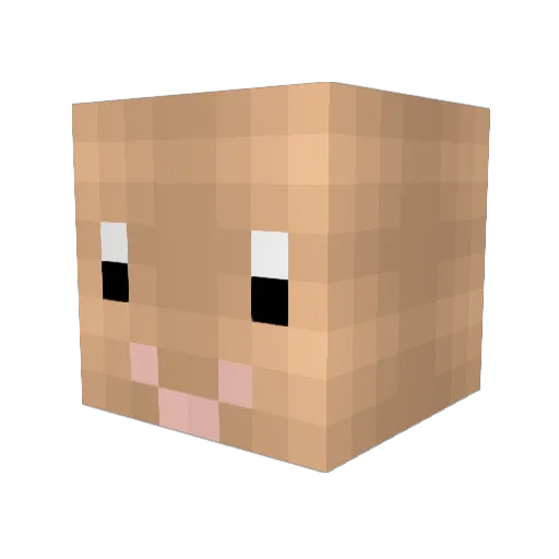CipeGamerMoment Minecraft avatar head, 3D render