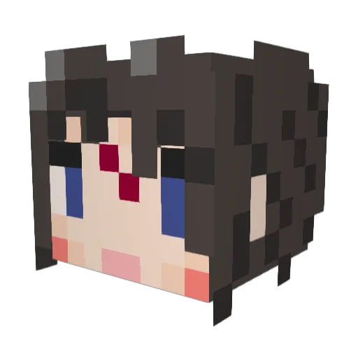 Cipher8492 Minecraft avatar head, 3D render