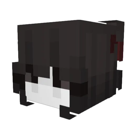 CipherSpace77 Minecraft avatar head, 3D render