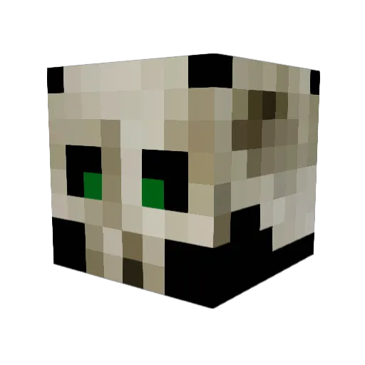 Cipher__Six Minecraft avatar head, 3D render