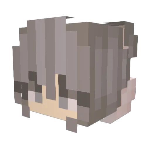 CipollonePotente Minecraft avatar head, 3D render
