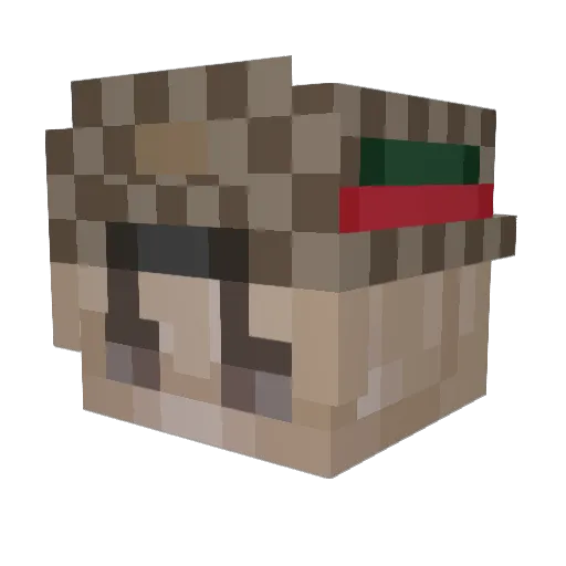 Cipotee Minecraft avatar head, 3D render