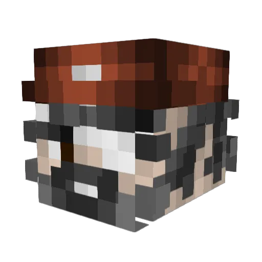 Cipyaar Minecraft avatar head, 3D render