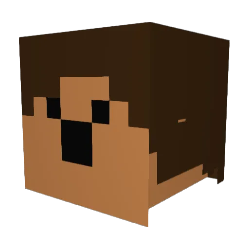 Circle2511 Minecraft avatar head, 3D render
