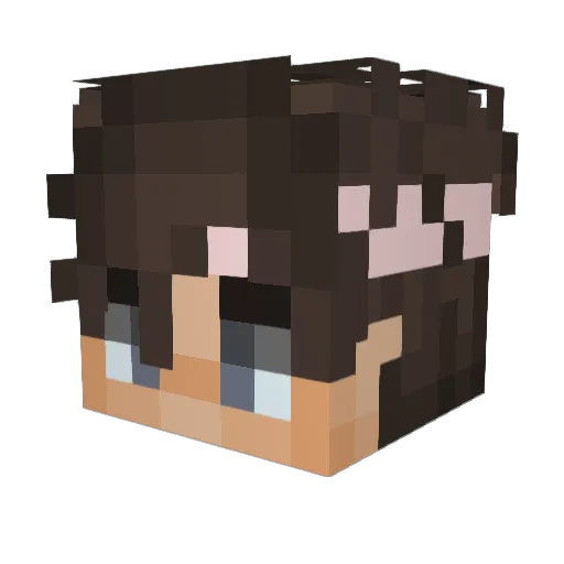 CircleStrqfes Minecraft avatar head, 3D render