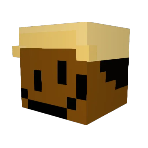 CircleWitCorners Minecraft avatar head, 3D render