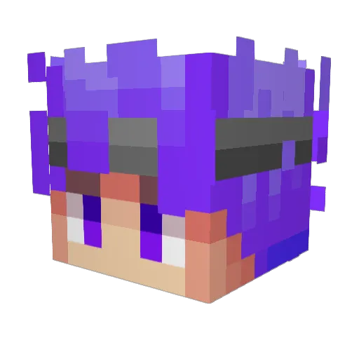 Circuin Minecraft avatar head, 3D render