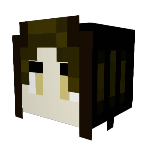 Circumstances Minecraft avatar head, 3D render