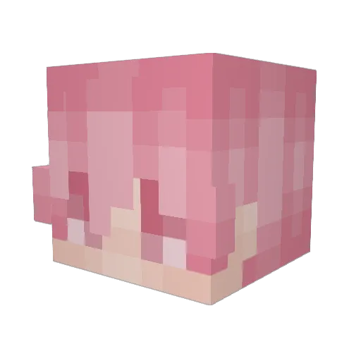 CircusBrigade Minecraft avatar head, 3D render