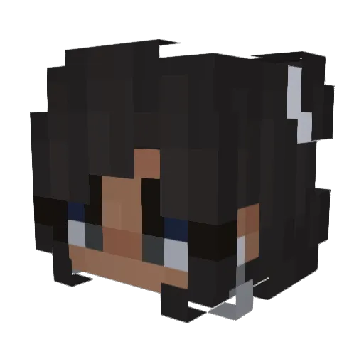 CircusNinja009 Minecraft avatar head, 3D render