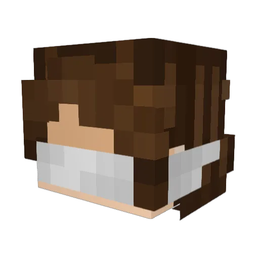 Circusgamer Minecraft avatar head, 3D render