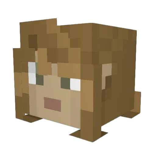 CircutTamer Minecraft avatar head, 3D render