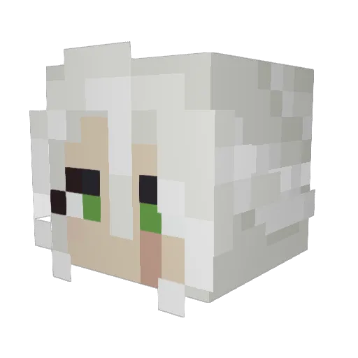 Cirilla1251 Minecraft avatar head, 3D render