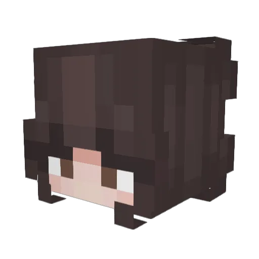 CirrusnBlues Minecraft avatar head, 3D render