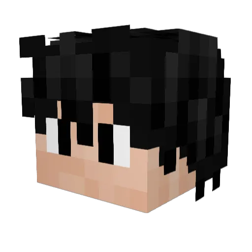 CiscoDisco15 Minecraft avatar head, 3D render