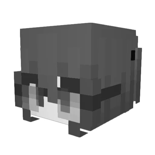 CisneNegro Minecraft avatar head, 3D render