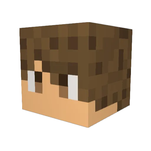 Cispassing Minecraft avatar head, 3D render