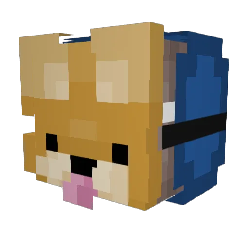 CitZka Minecraft avatar head, 3D render