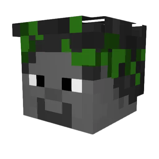 Cited_Meteor Minecraft avatar head, 3D render