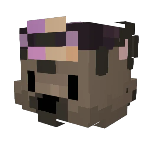 CitezCat Minecraft avatar head, 3D render