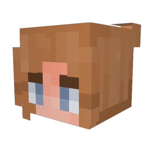 Citny08 Minecraft avatar head, 3D render