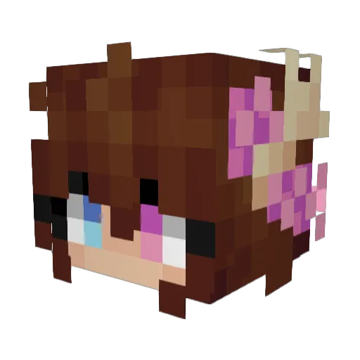 Minecraft-Avatar von Citramin: Kopf als 3D-Render