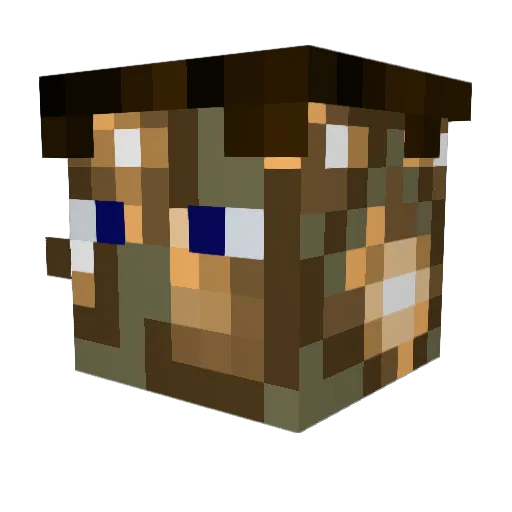 Citric101 Minecraft avatar head, 3D render