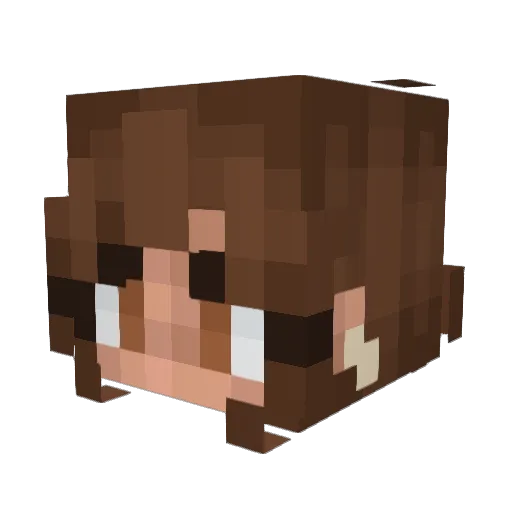 CitrineNRG Minecraft avatar head, 3D render