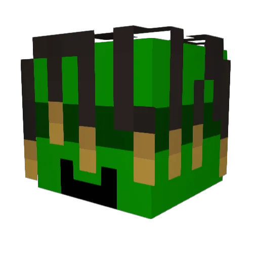 Citrixxxx Minecraft avatar head, 3D render
