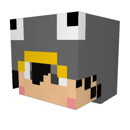Citron_08 Minecraft avatar head, 3D render