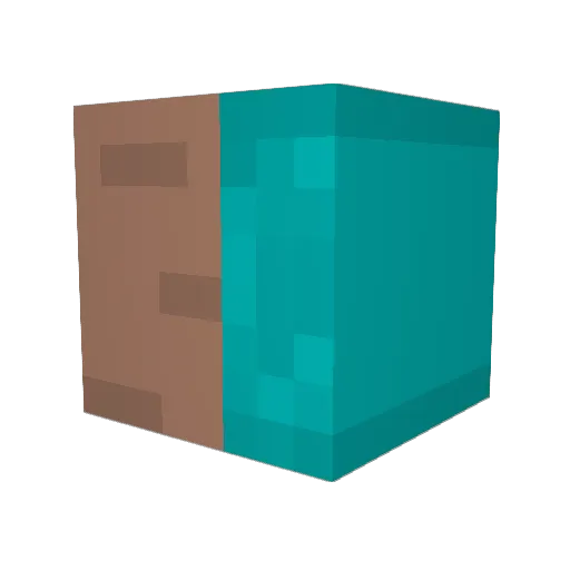 Citrus216 Minecraft avatar head, 3D render