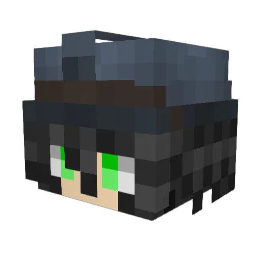 Citrus737 Minecraft avatar head, 3D render