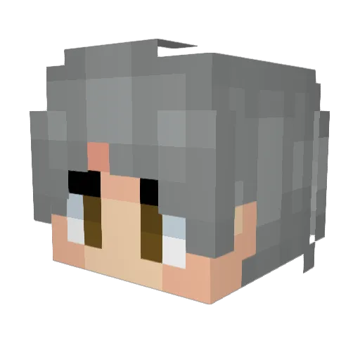 CitrusAunt50292 Minecraft avatar head, 3D render