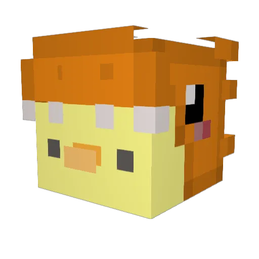 CitrusBreaker Minecraft avatar head, 3D render