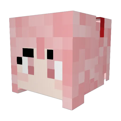 CitrusCats Minecraft avatar head, 3D render