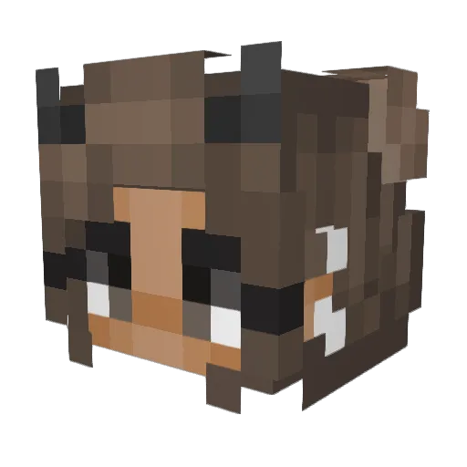 CitrusMix92 Minecraft avatar head, 3D render
