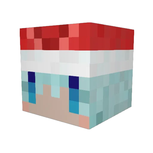 CitrusRin Minecraft avatar head, 3D render