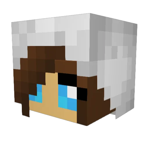 Citrus_Canolope Minecraft avatar head, 3D render