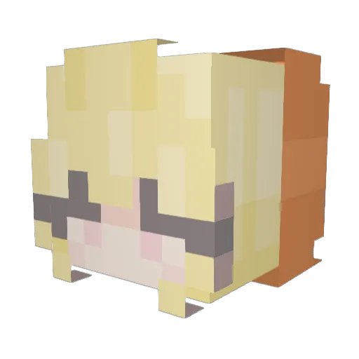 Citrus_Chips Minecraft avatar head, 3D render