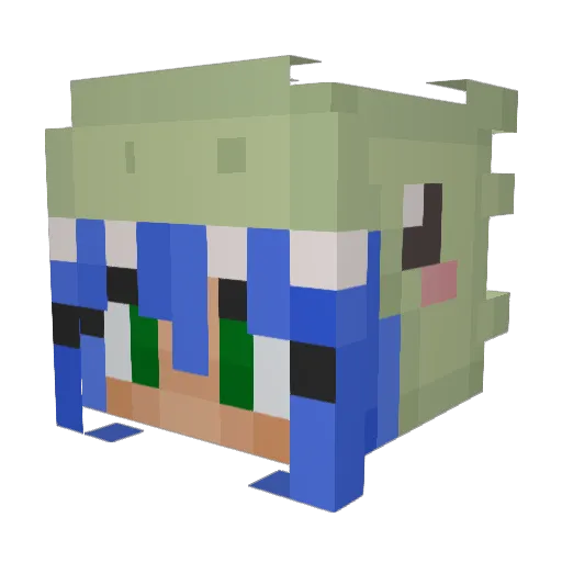 Citrus_Gosling Minecraft avatar head, 3D render