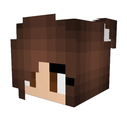 Citrus_Sloth Minecraft avatar head, 3D render