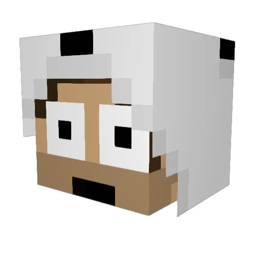 Citruses Minecraft avatar head, 3D render