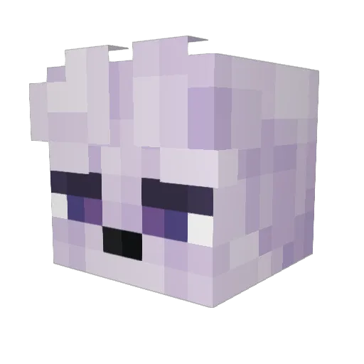Citrysofka Minecraft avatar head, 3D render